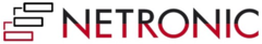 Netronic logo